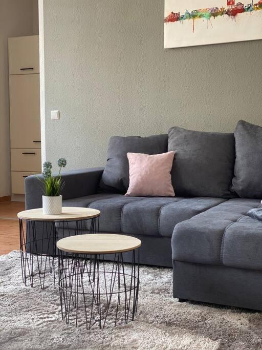 Akk4 - Apartment Md Zentrum Naehe Uni Und Hbf マクデブルク エクステリア 写真